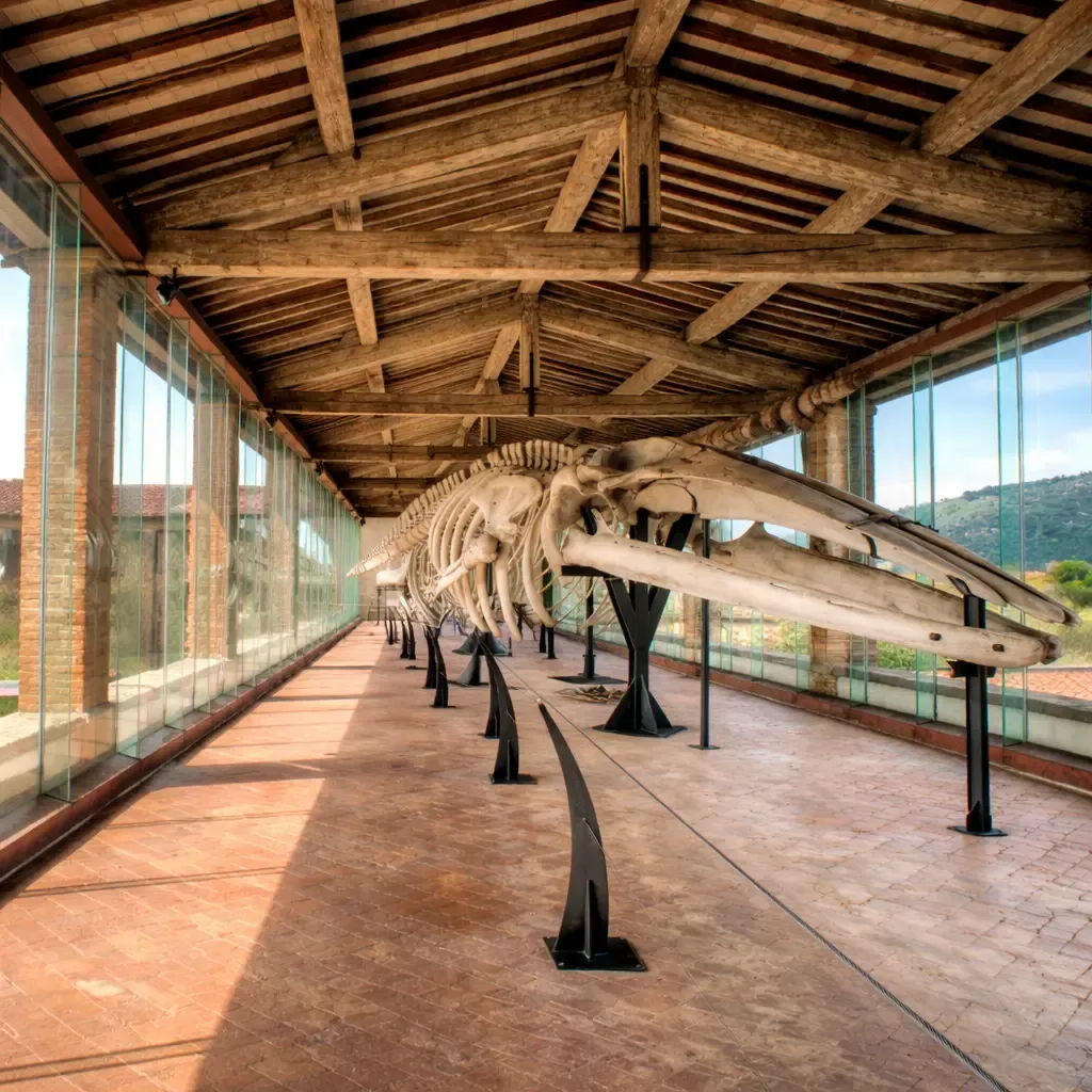 Chiusura in lastre di vetro a Calci