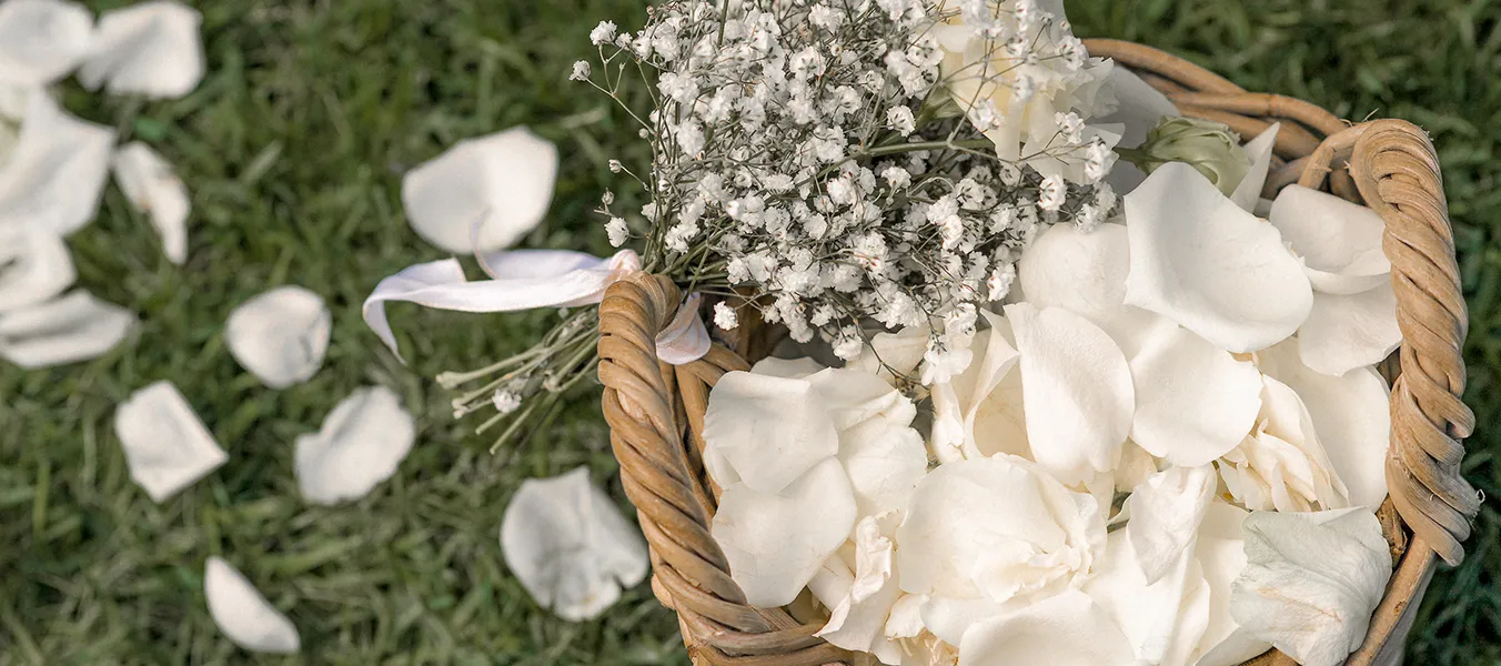 matrimonio stile provenzale petali.webp